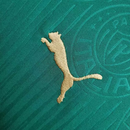 Camisa Palmeiras - 24/25