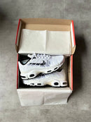 Air Max Plus TN 1 "OVERBRAND WHITE"